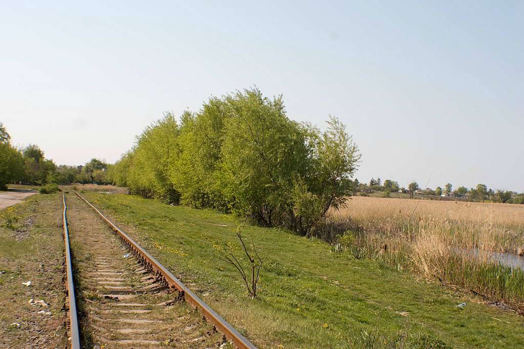 Парипси - Парипси