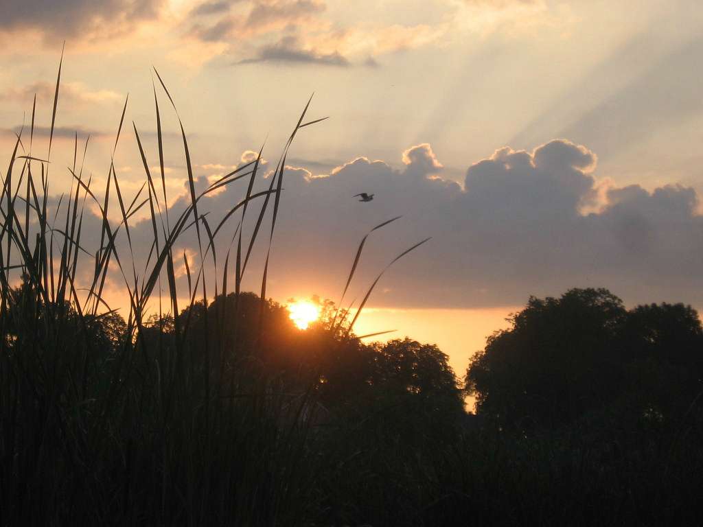 Любарські світанки - Любар