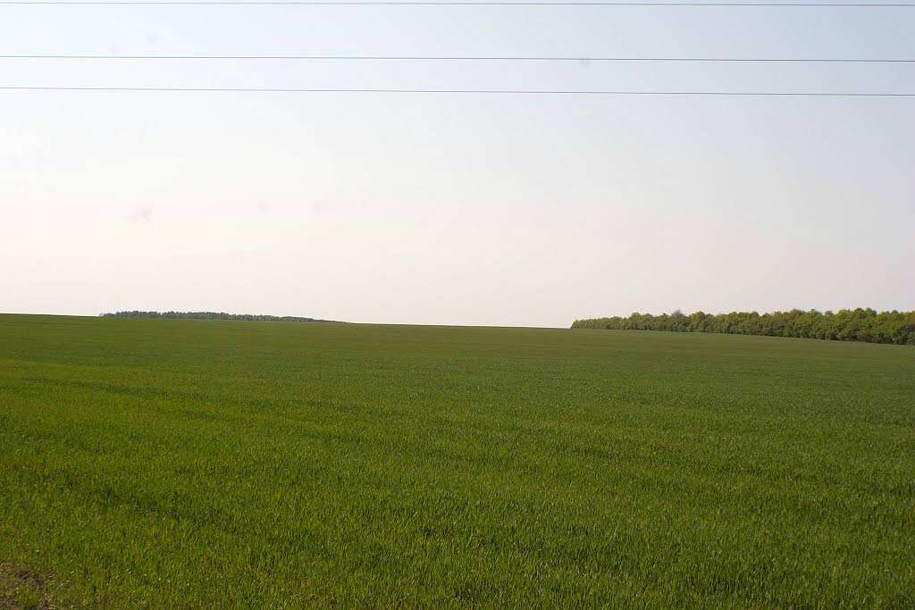 с.Голуб'ятин. - Голуб'ятин