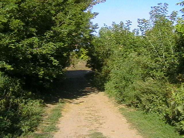 Група;Федюківка CITY - Федюківка