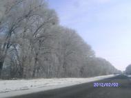 Зима в Дешках