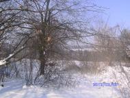 Зима в Дешках