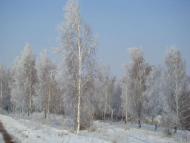 Зимонька-зима