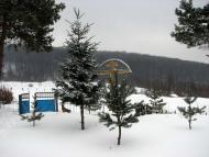 село Ільківці Мукачівського району