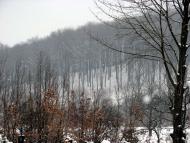 село Ільківці Мукачівського району