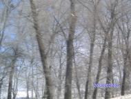 Зима в Дешках