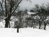 село Ільківці Мукачівського району