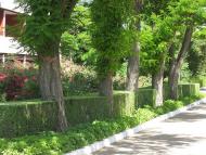 В НИКОЛАЕВКЕ ЕСТЬ ГДЕ ОТДЫХАТЬ