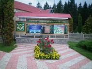 Биківське лісництво