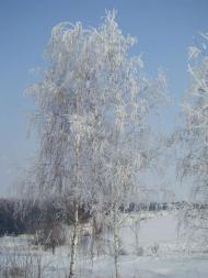 Зимонька-зима