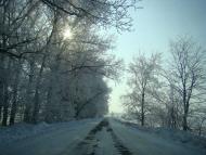 Зимонька-зима