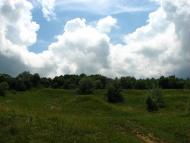 Мое родное село