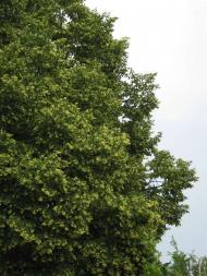 Дорогие сердцу места и люди