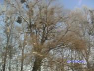 Зима в Дешках