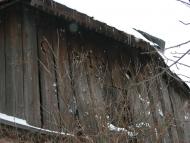 село Ільківці Мукачівського району