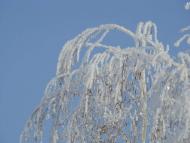 Зимонька-зима