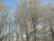 Зима в Дешках