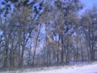 Зима в Дешках