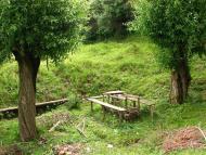 Мое родное село