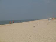 ЛАЗУРНОЕ МОРЕ ЛАЗУРНОГО