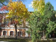 Ромни