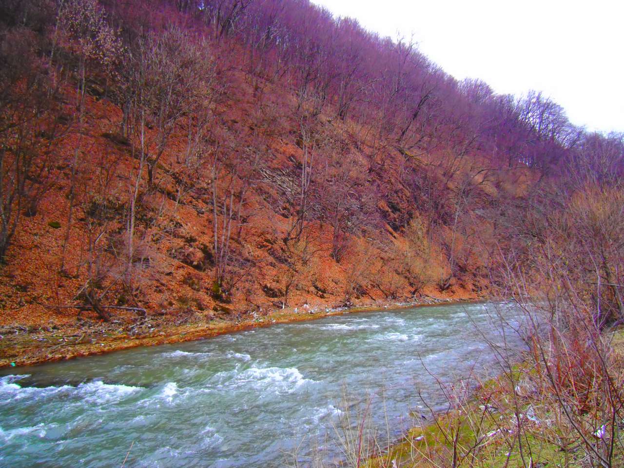 краєвиди - Підполоззя