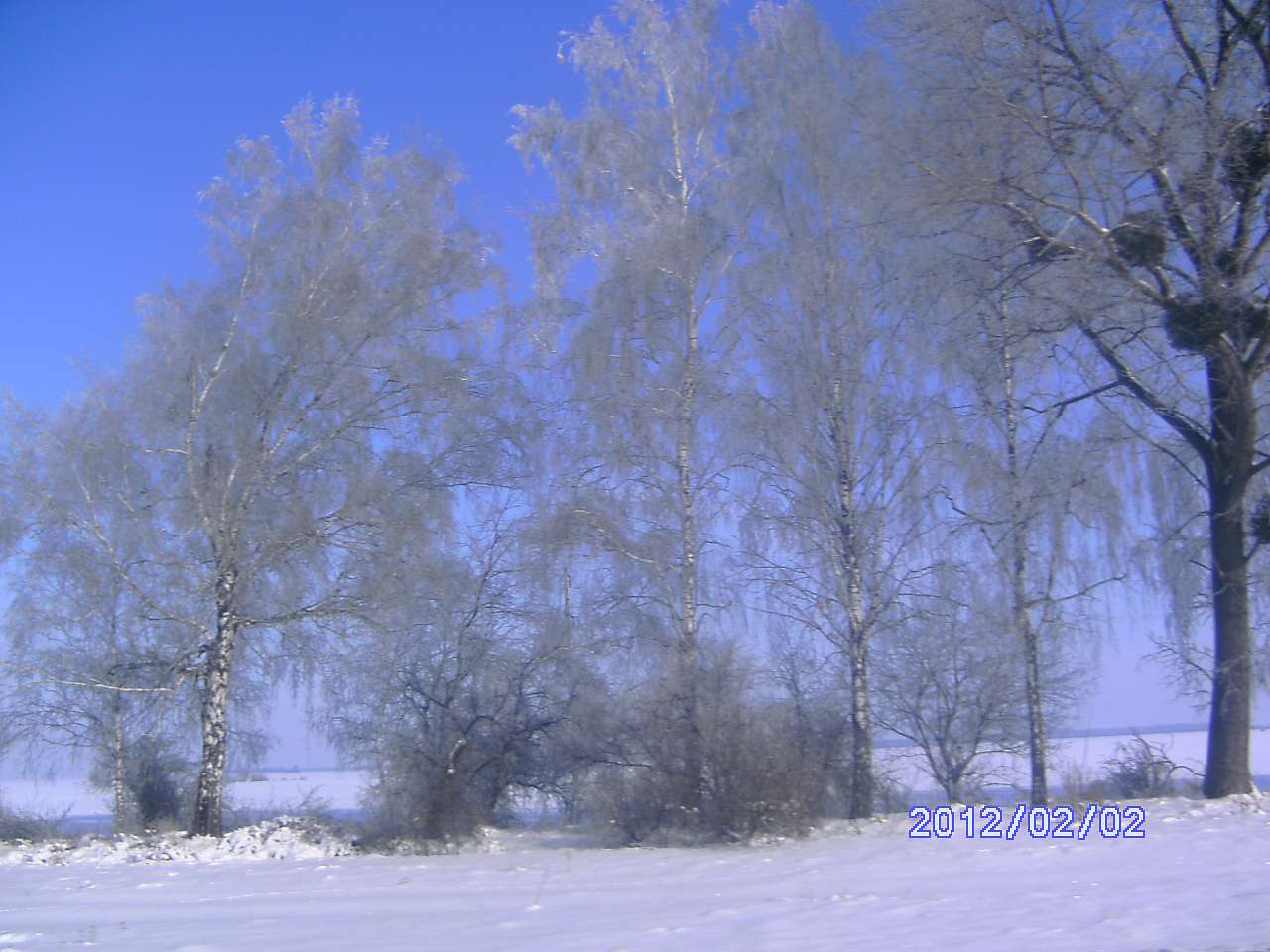 Зима в Дешках - Дешки