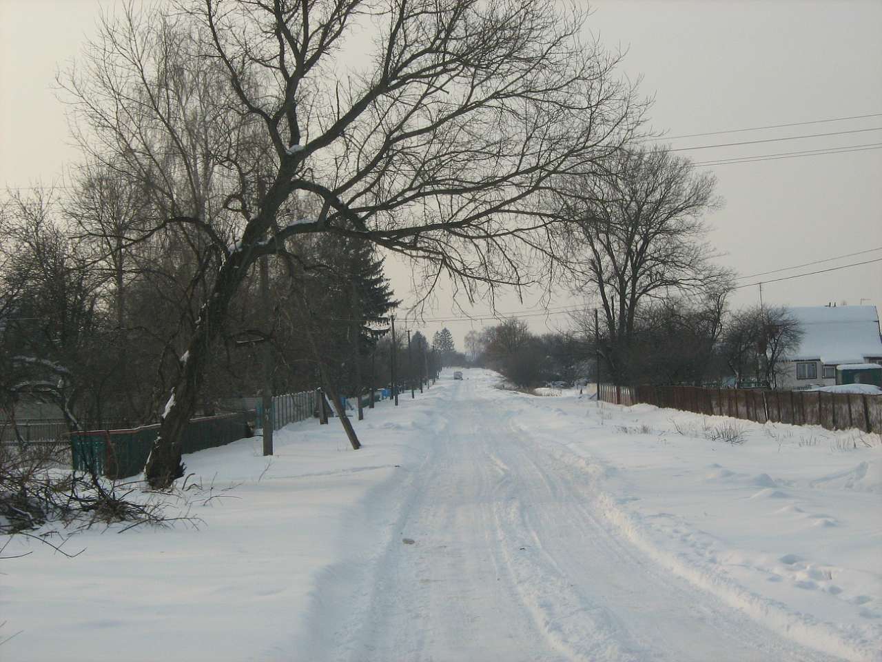 Парипси зимою. - Парипси