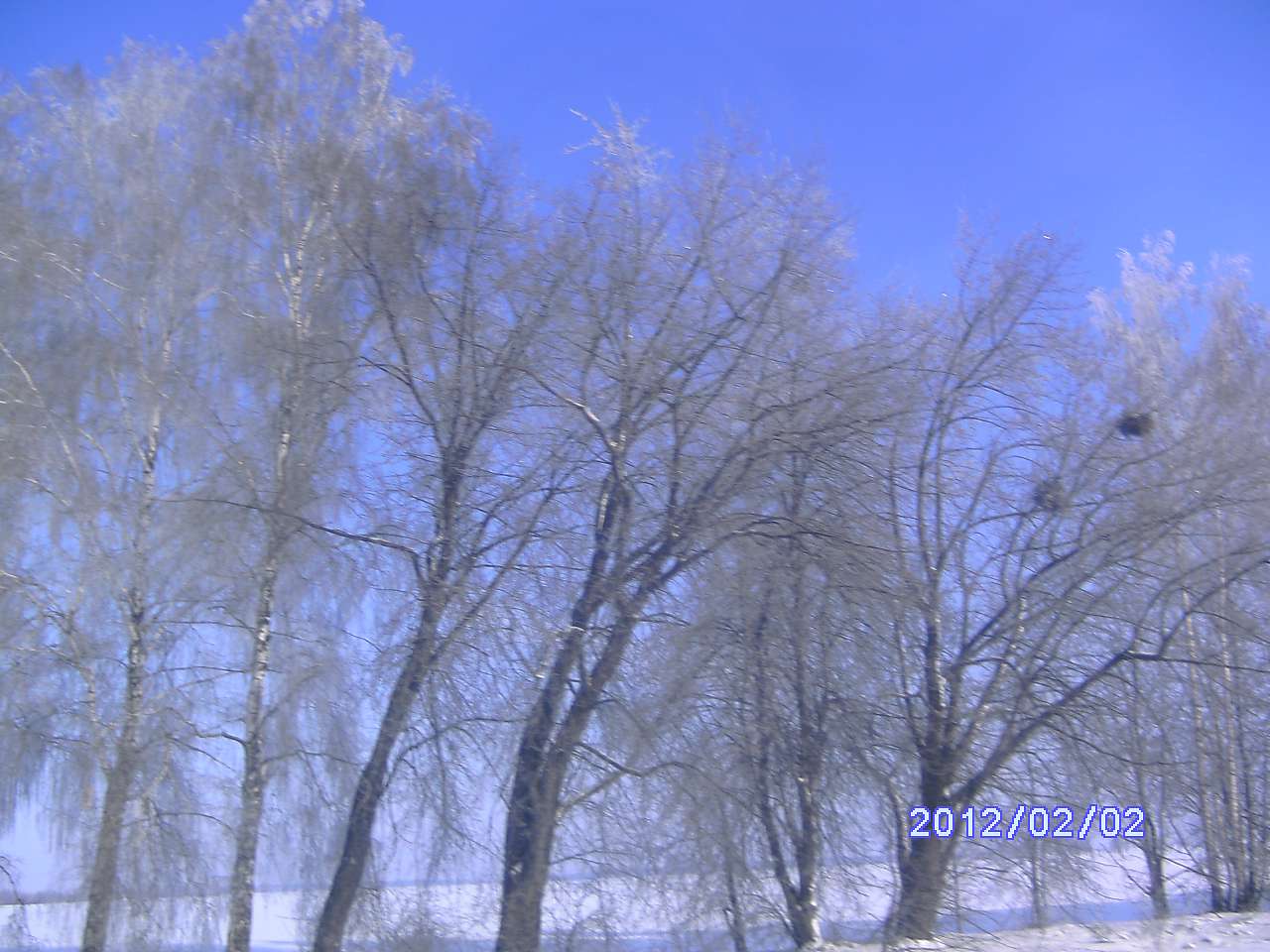 Зима в Дешках - Дешки