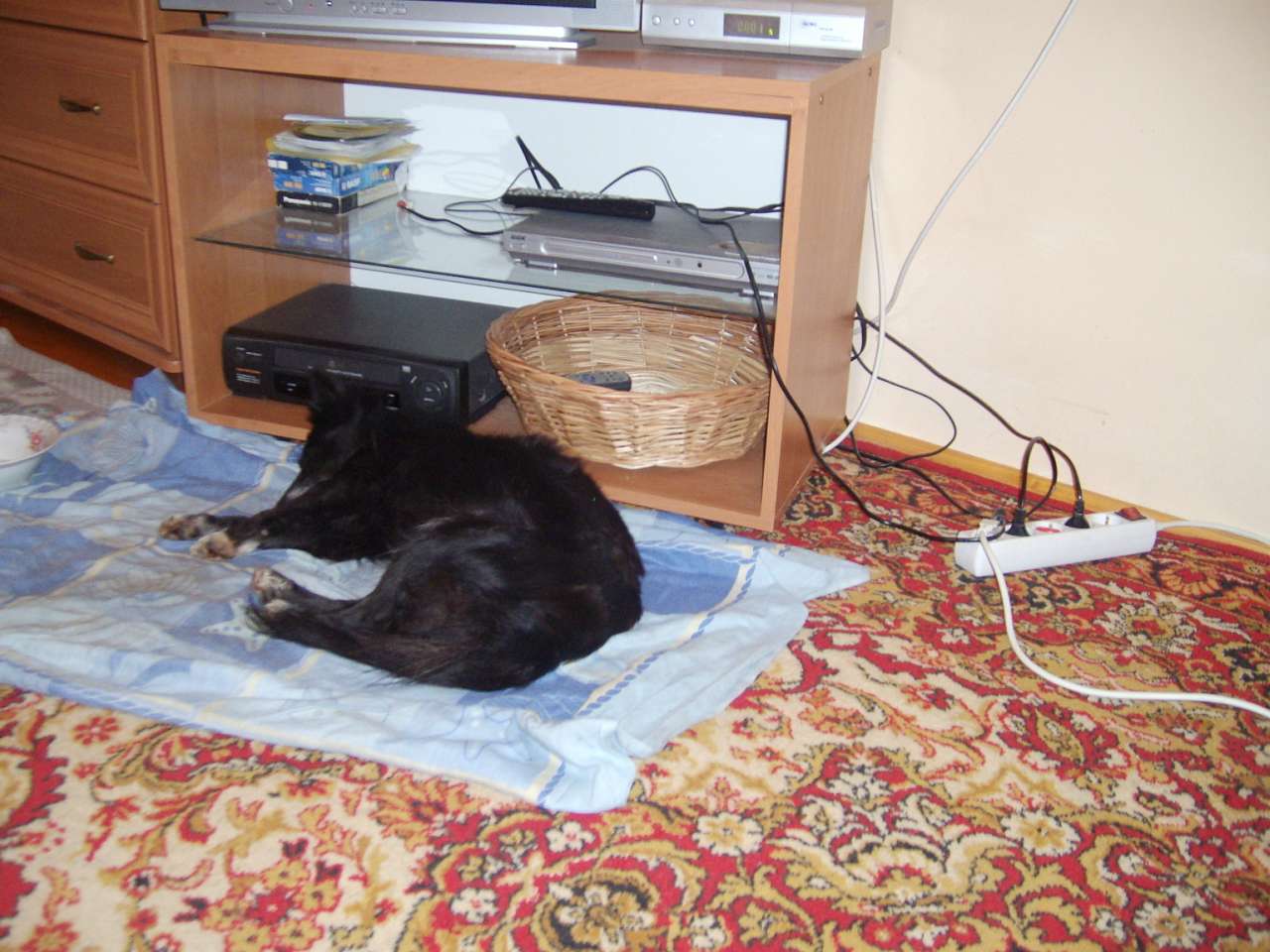 зоосвіт - Братківці