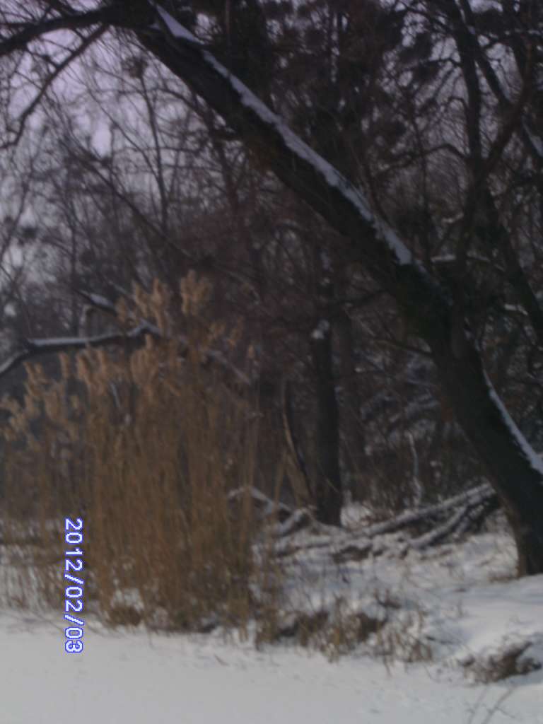 Зима в Дешках - Дешки