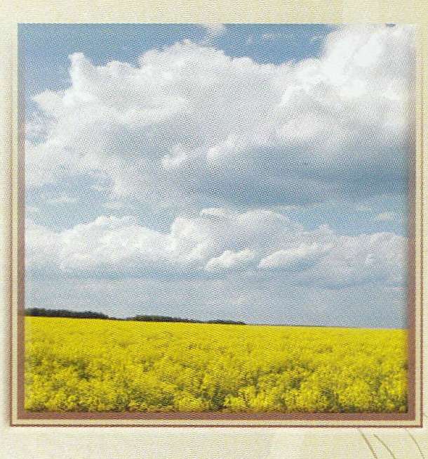 ЦЕ  КРИМКИ - Кримки