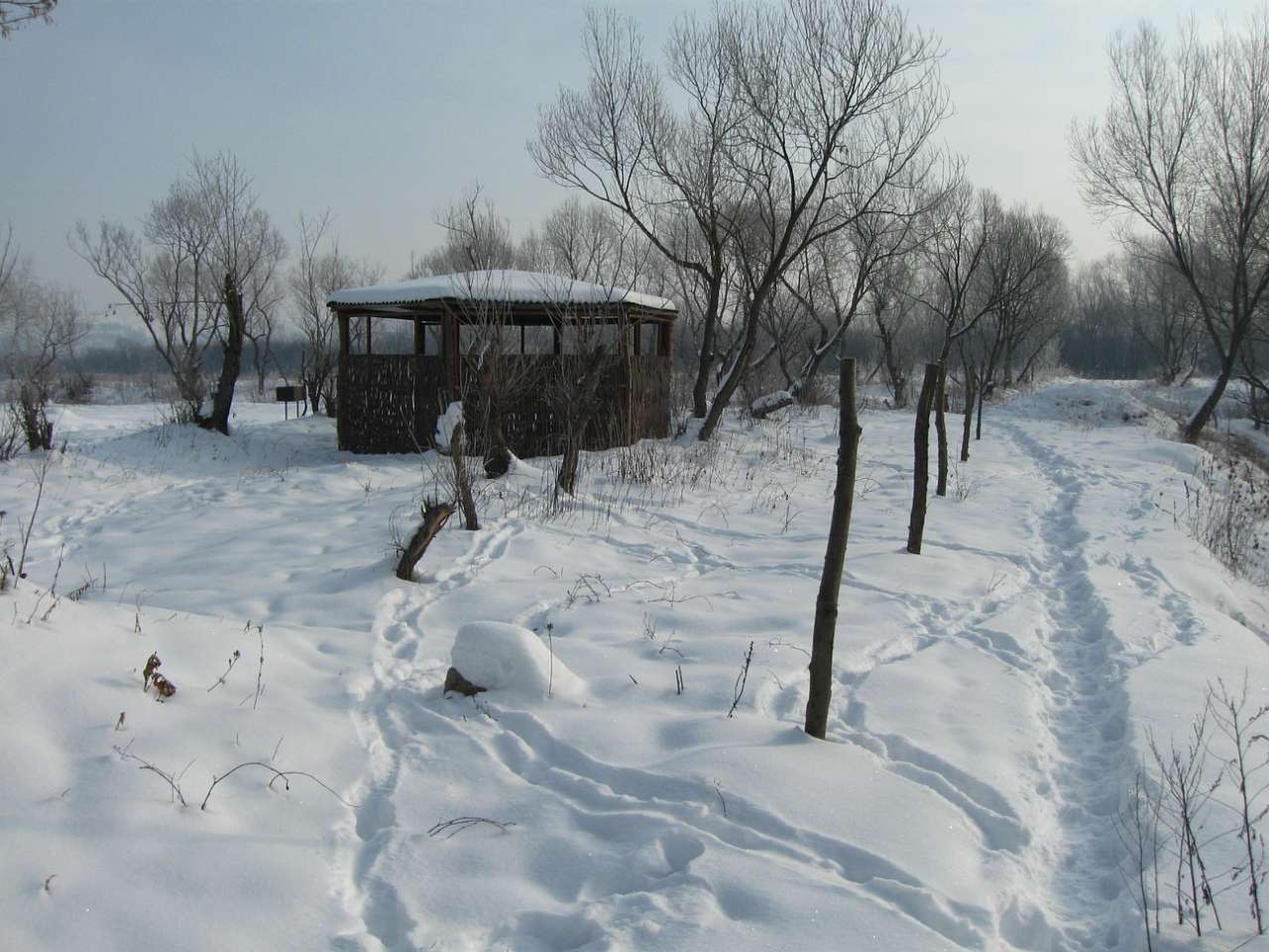 МОРОЗ і СОНЦЕ - Vovchynets