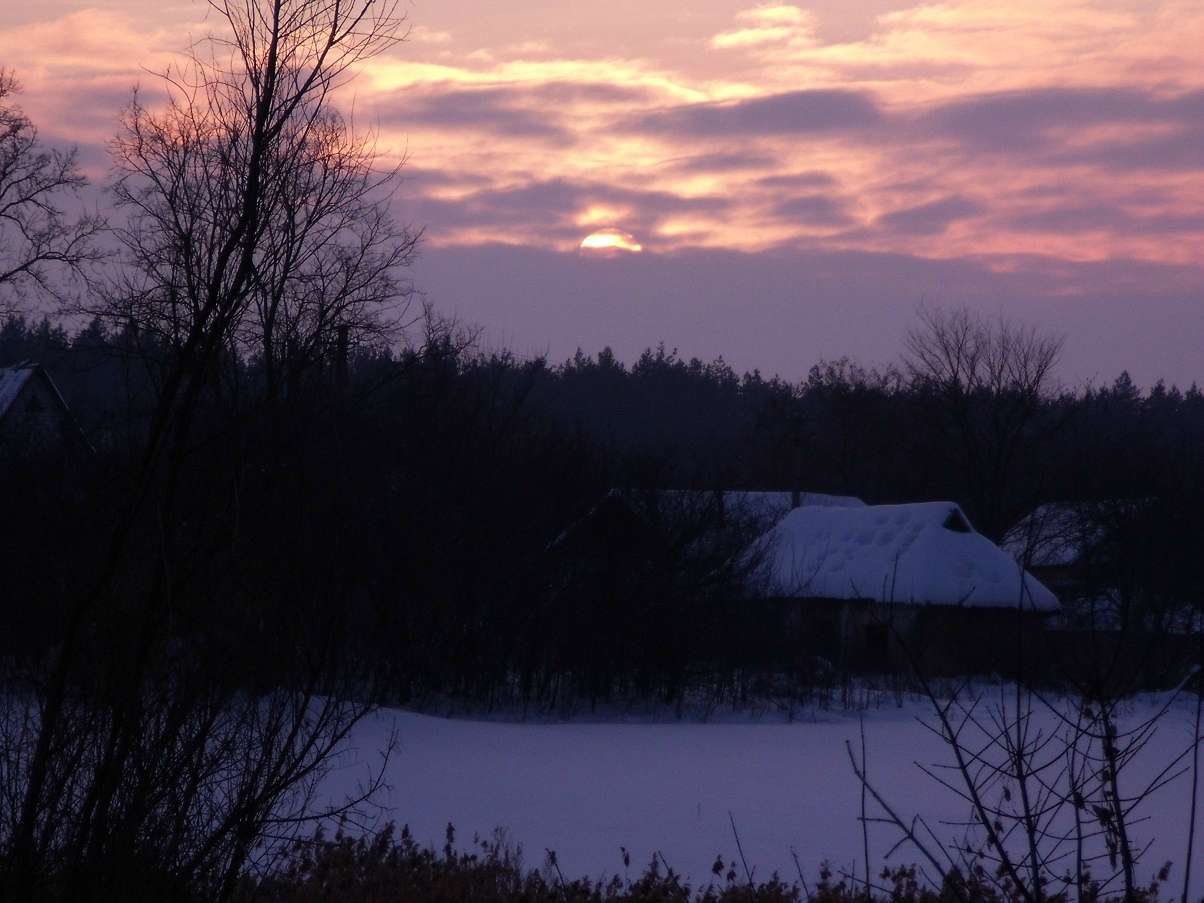 Мохначка - Мохначка