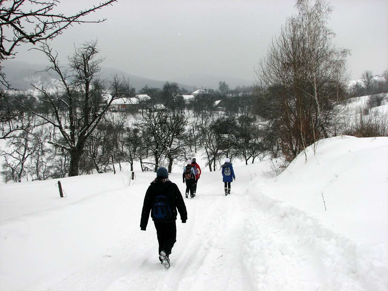 село Ільківці Мукачівського району - Ільківці