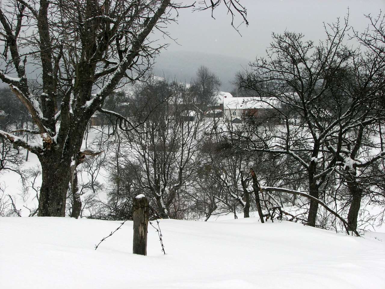 село Ільківці Мукачівського району - Ільківці