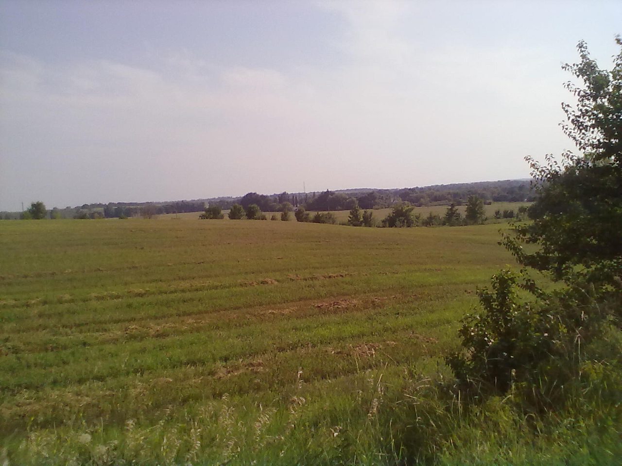 Безпальче - Беспальче