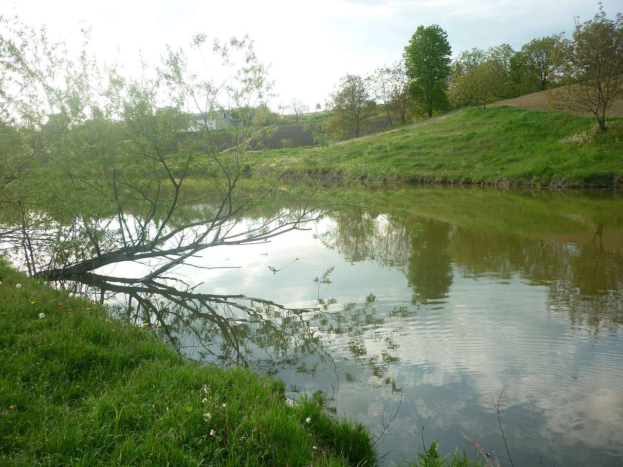 природа Рокитне... - Рокитне