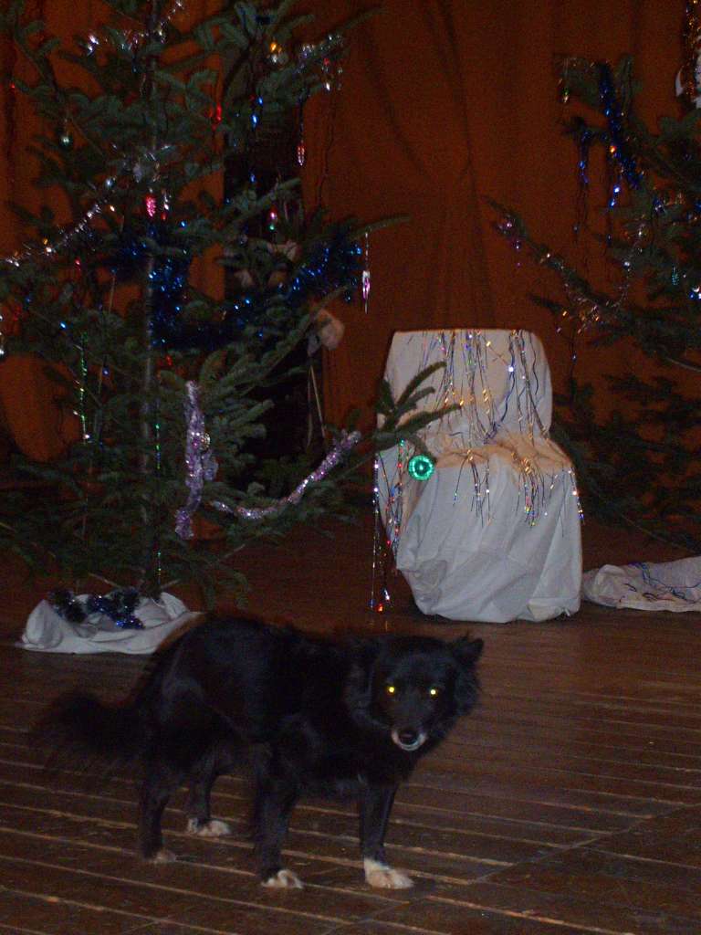 зоосвіт - Братківці