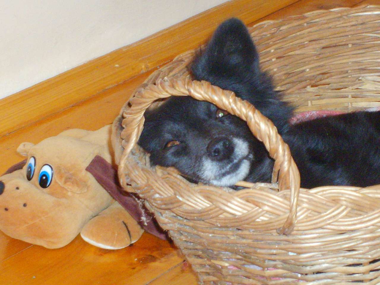 зоосвіт - Братківці