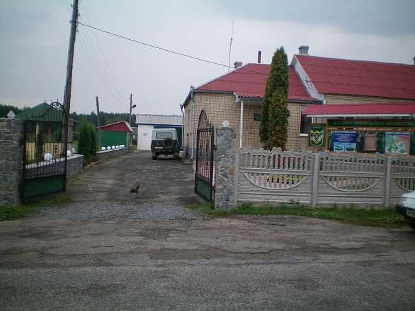 Биківське лісництво - Биківка