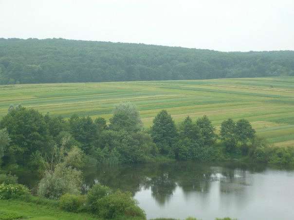 Берестяни)) - Берестяни