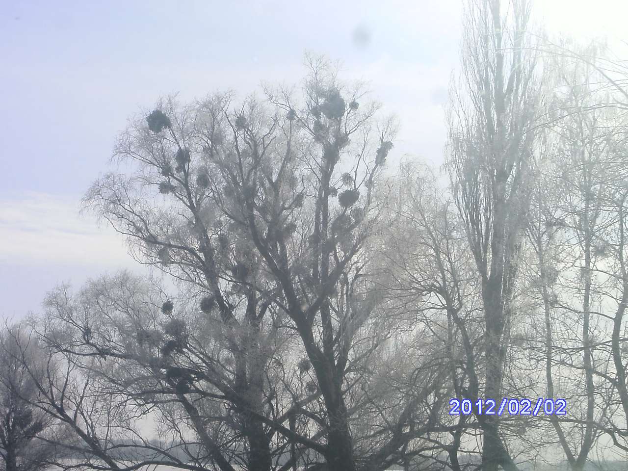 Зима в Дешках - Дешки