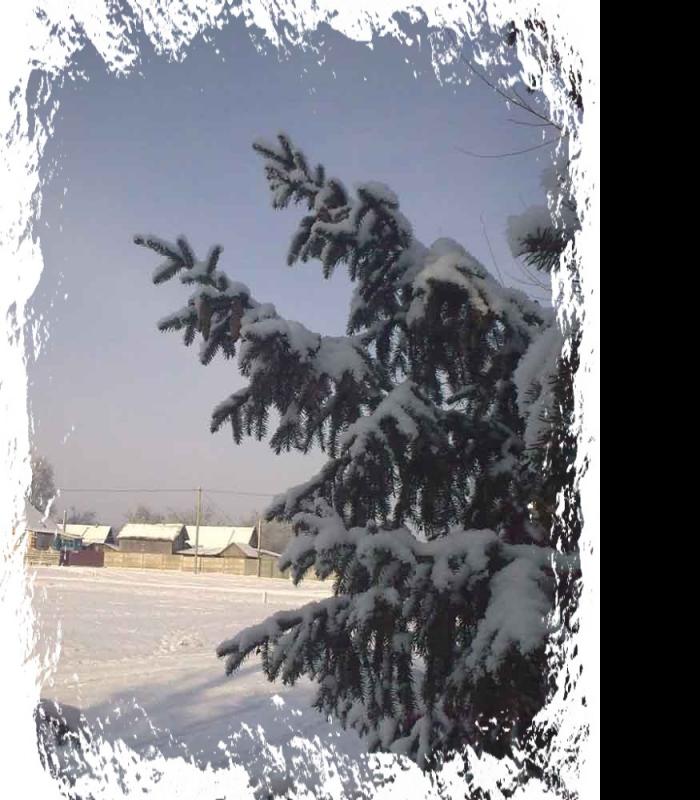 _Зимова казка - Иваница