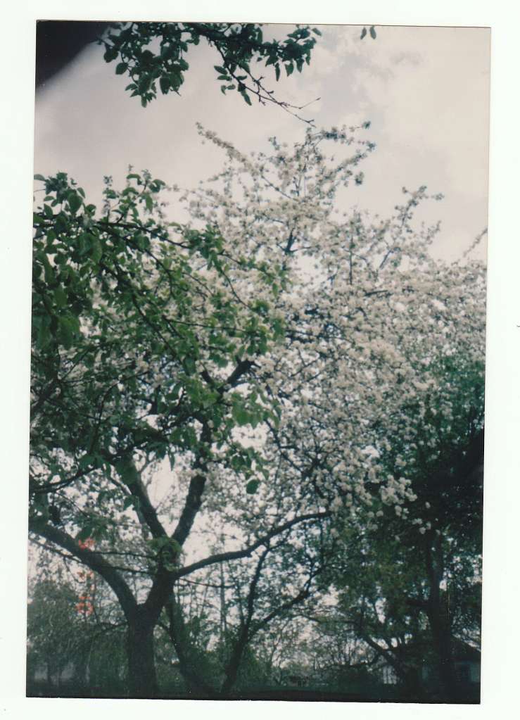 Молодецьке - 21 вік - Молодецкое