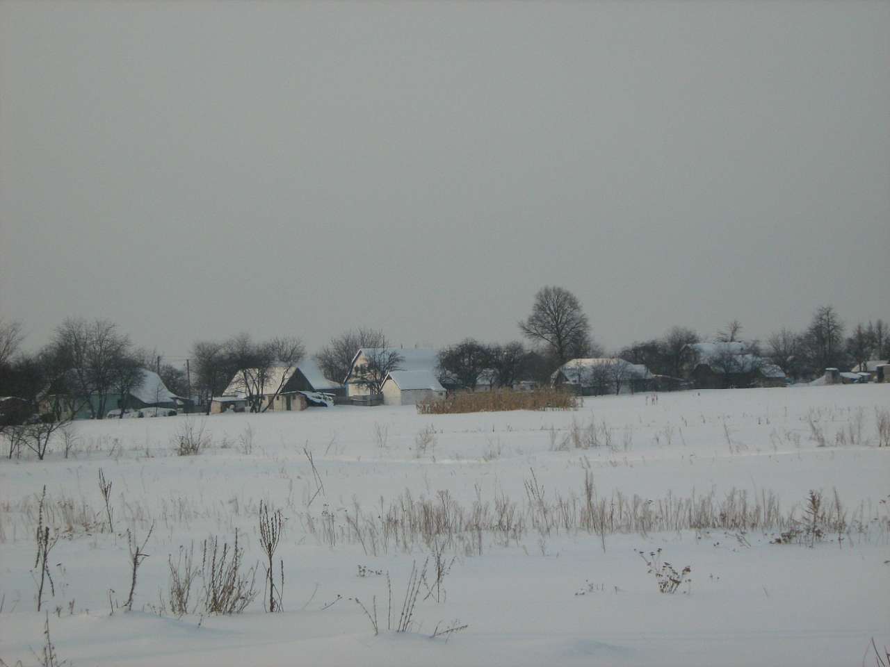 Парипси зимою. - Парипси