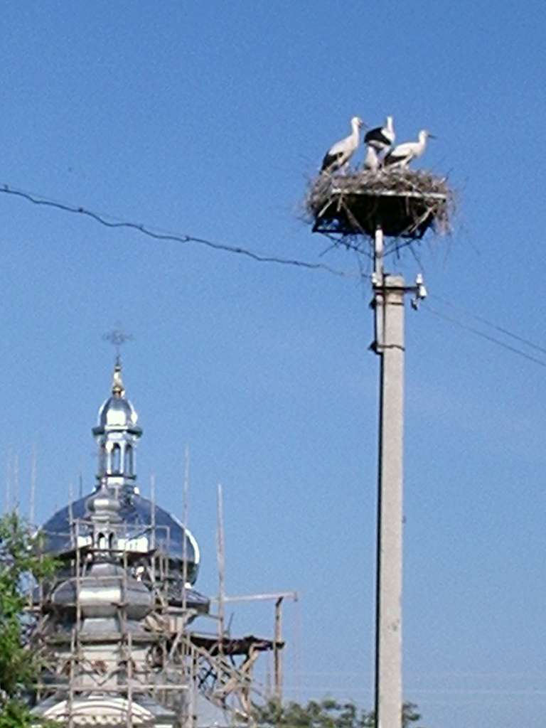 Церква Різдва Пресвятої Богородиці с.Завишень - Завишень