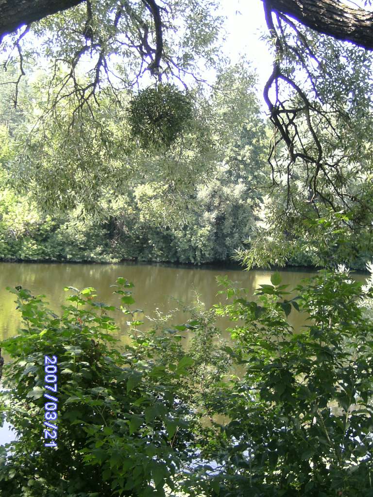 Дешки влітку на р. Рось - Дешки