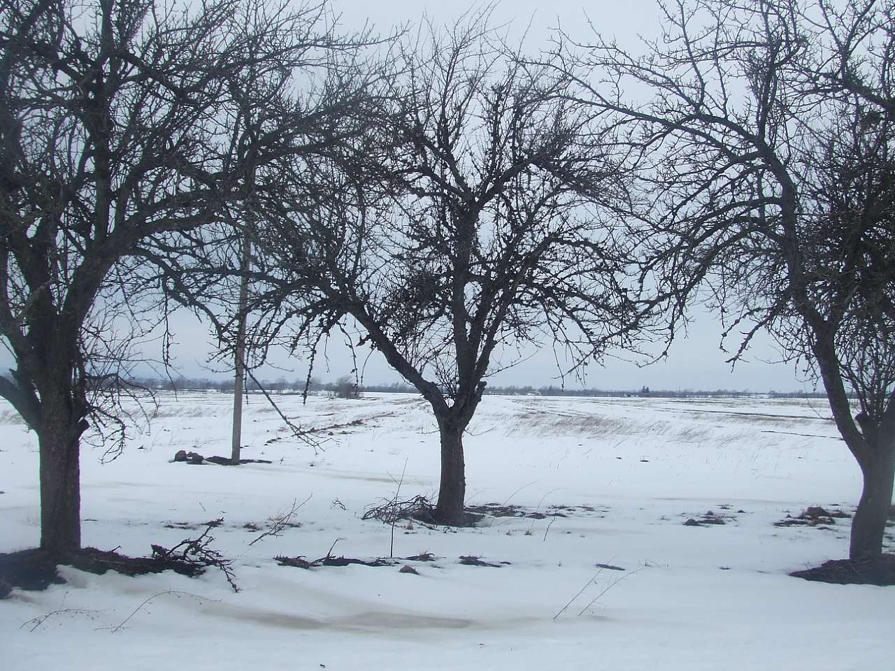 краєвид - Dolishnye