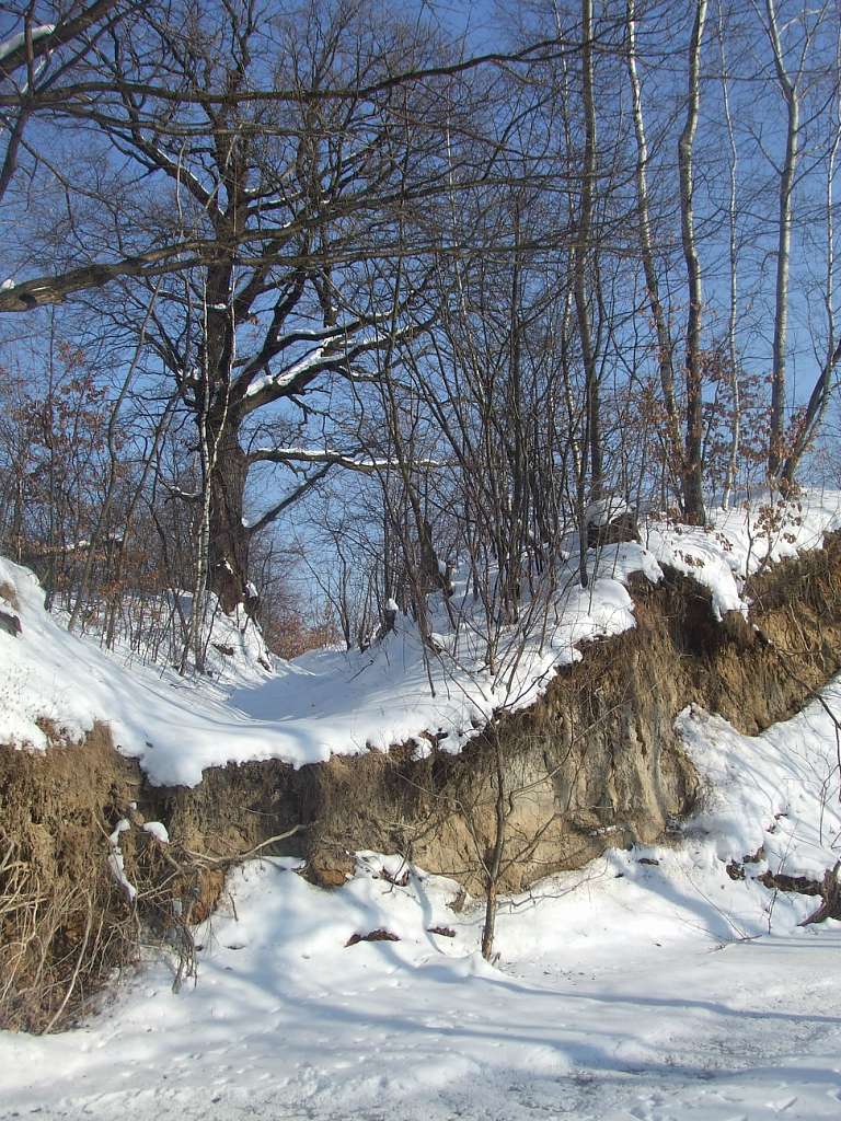 річка Жижава - Горишнее